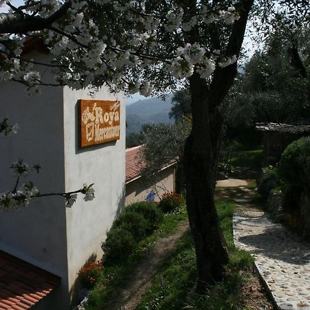 Gite Roya Mercantour Breil-sur-Roya Buitenkant foto