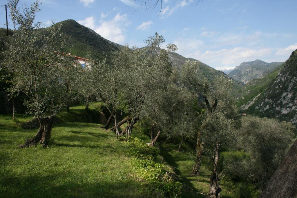 Gite Roya Mercantour Breil-sur-Roya Buitenkant foto